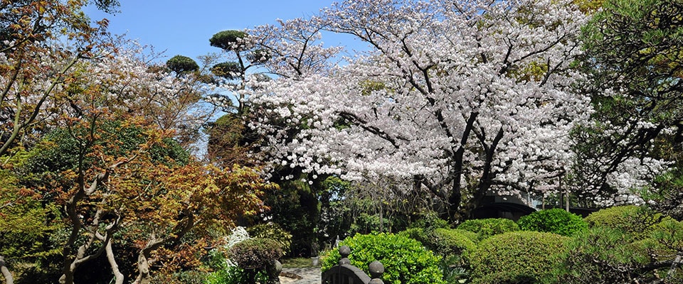 萃香園ホテル 日本庭園