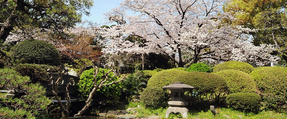 萃香園ホテル 日本庭園